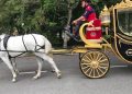 Rahasia Manusia (4)