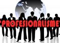 Profesionalitas Adalah Solusi